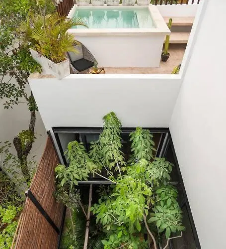 Hébergement de vacances Chic Townhouse With Private Pool And Rooftop View *